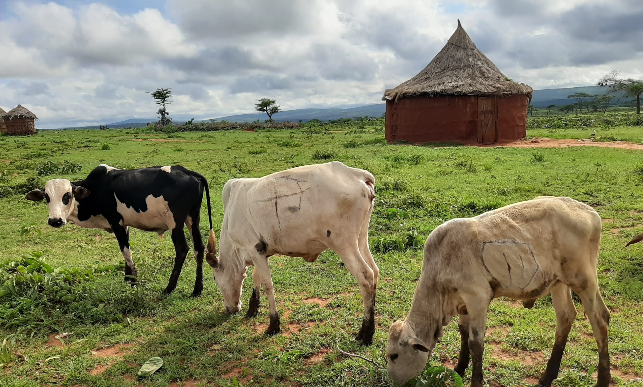 Climate change: We need to talk about methane