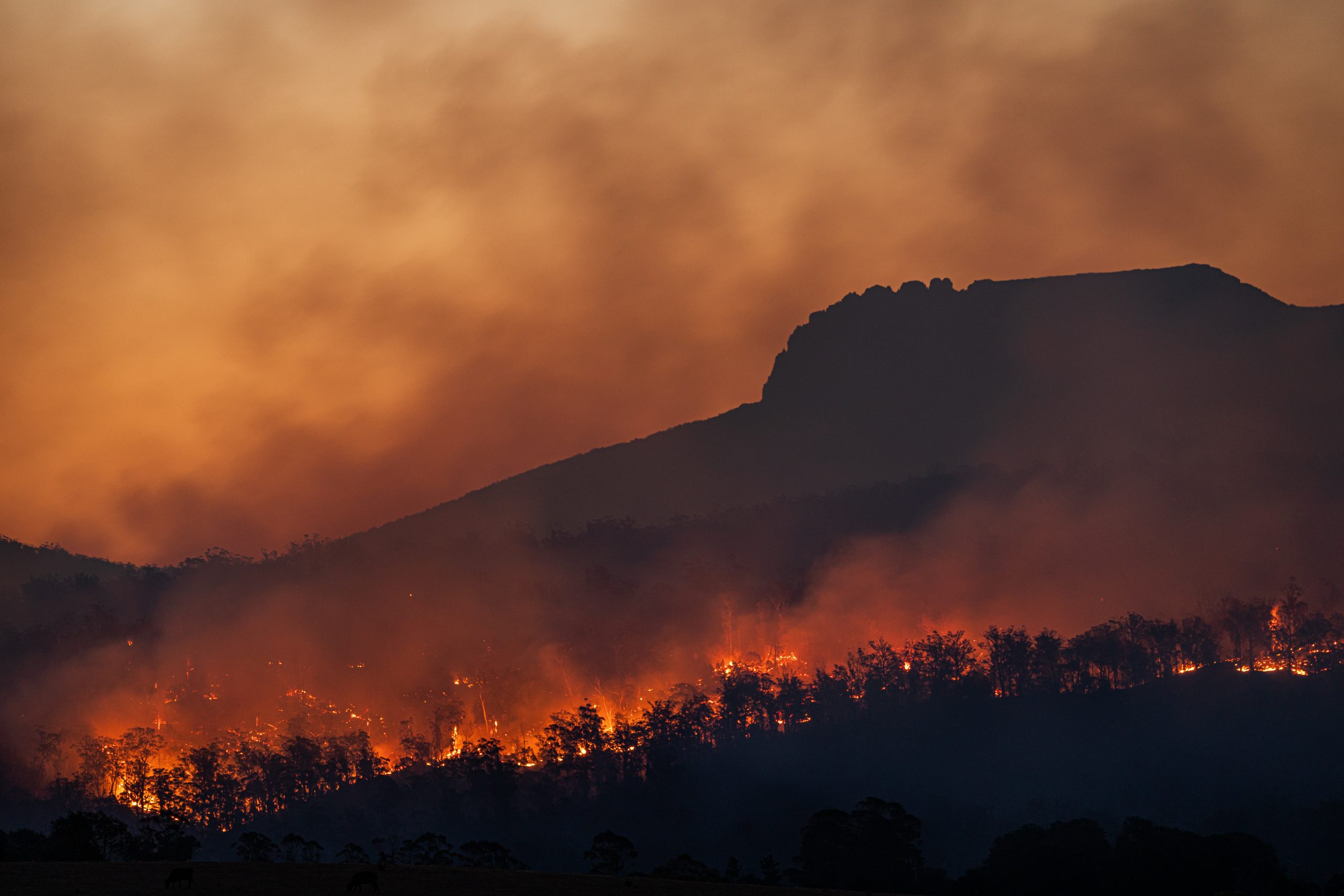 COP27: No adaptation if the risk isn’t perceived