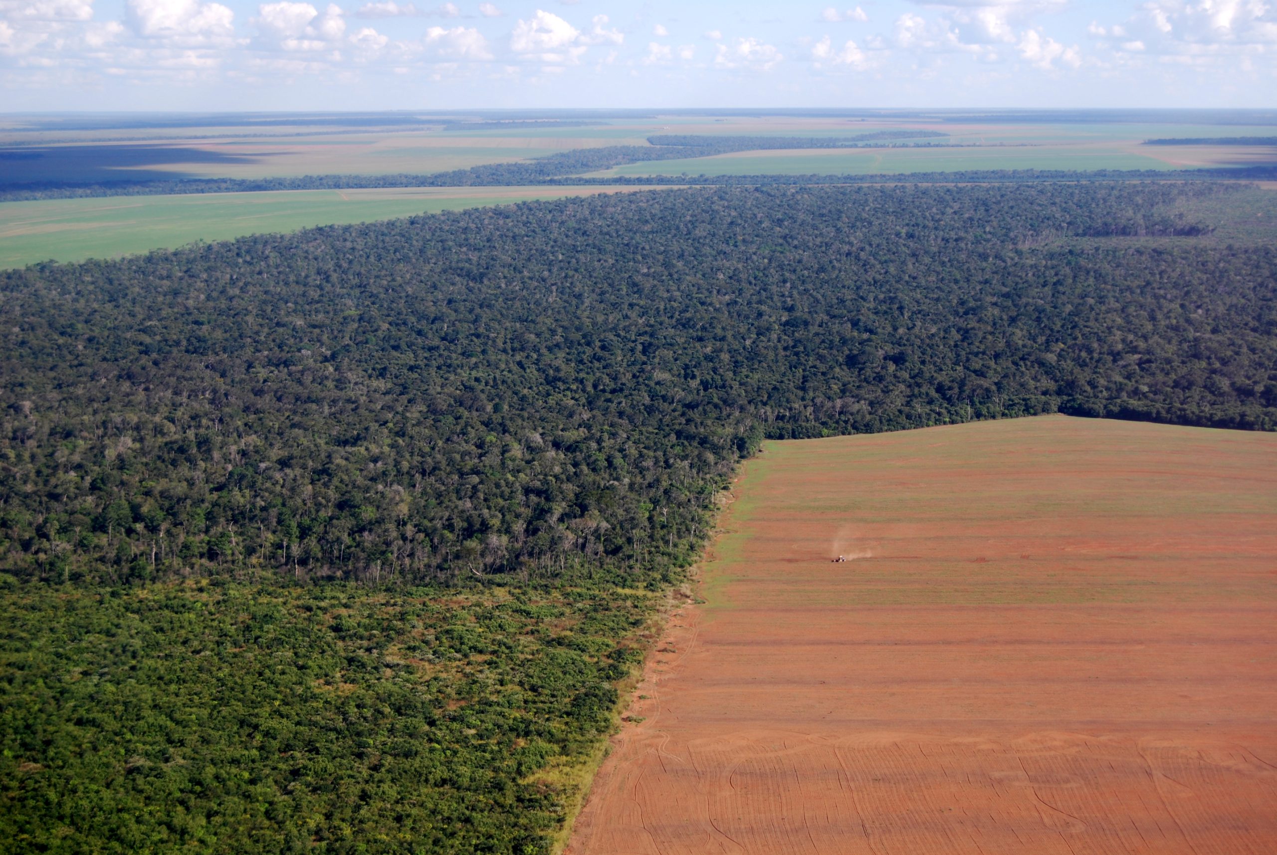Delaying the EU Deforestation Regulation: a golden opportunity for cooperation