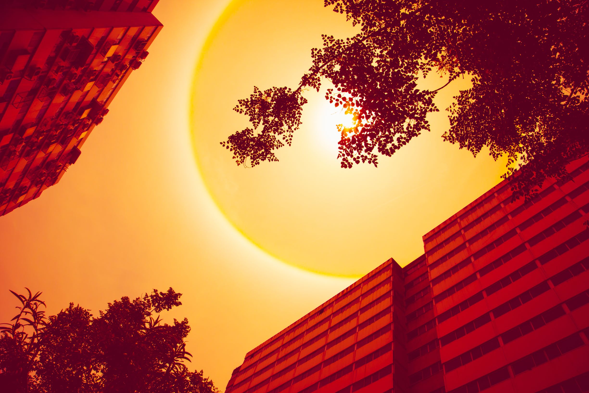 Europe’s heatwaves and the search for effective adaptation