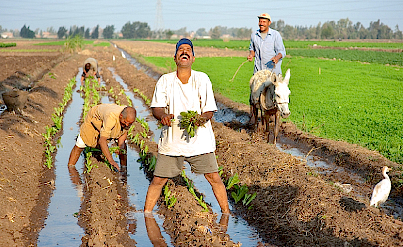 Is the Middle East running out of water?