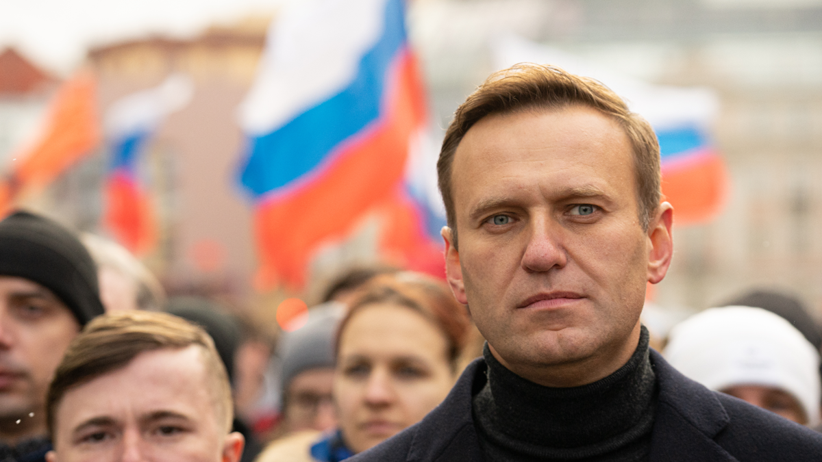 Mr Navalny, the Muckraker