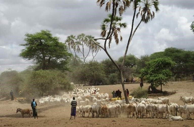Pastoralists: Seasoned to Uncertainty