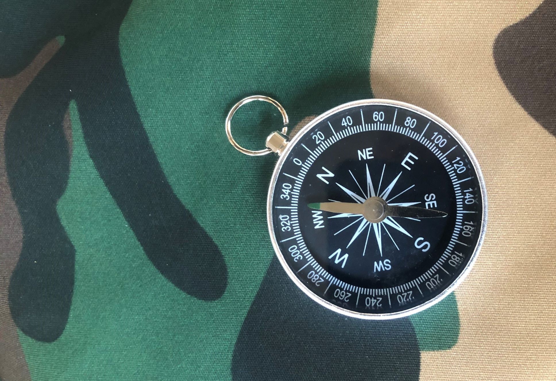 The EU Strategic Compass: Charting a course in stormy seas