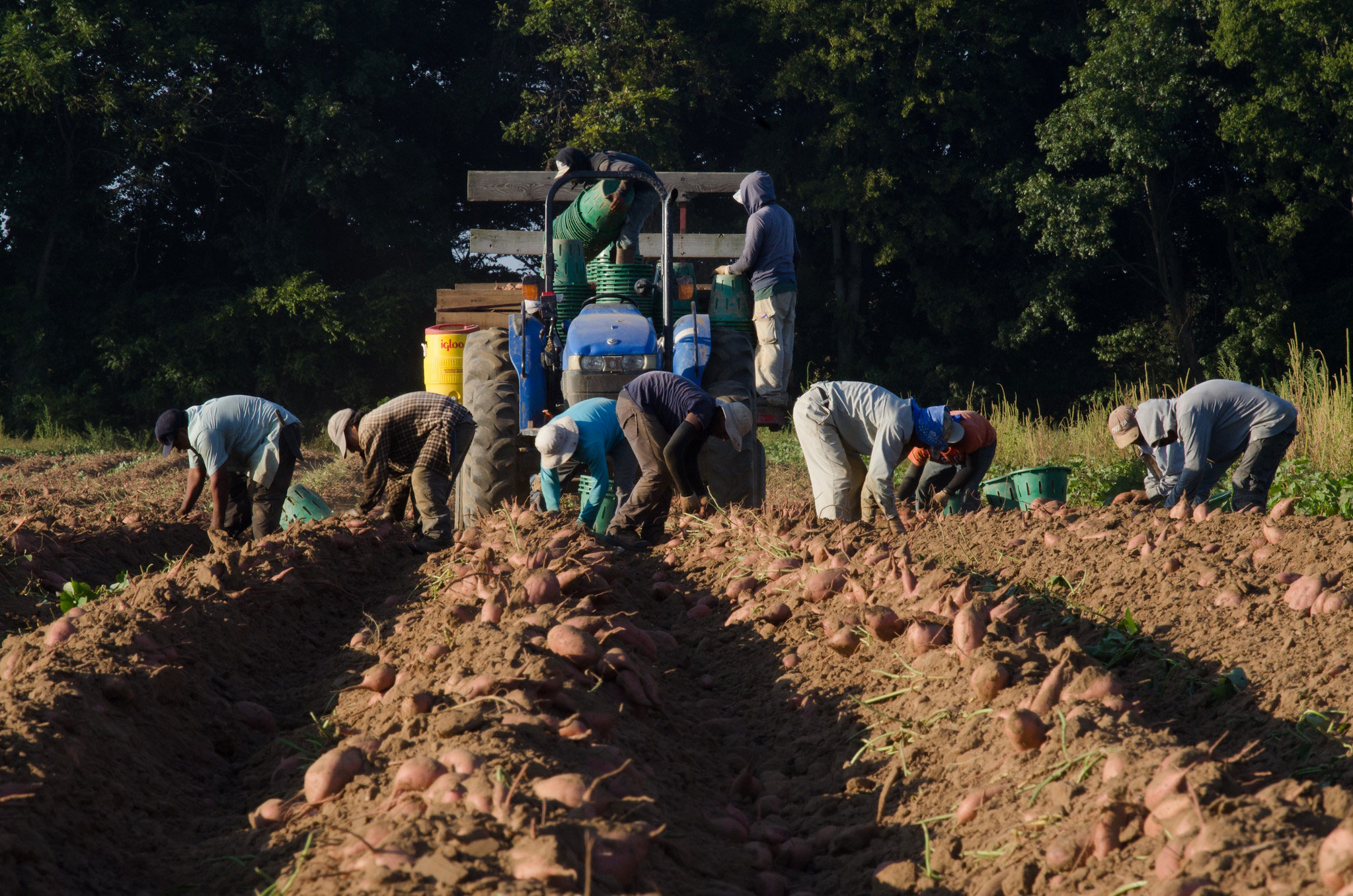 The Global Compact on Migration: From Ideals to Reality