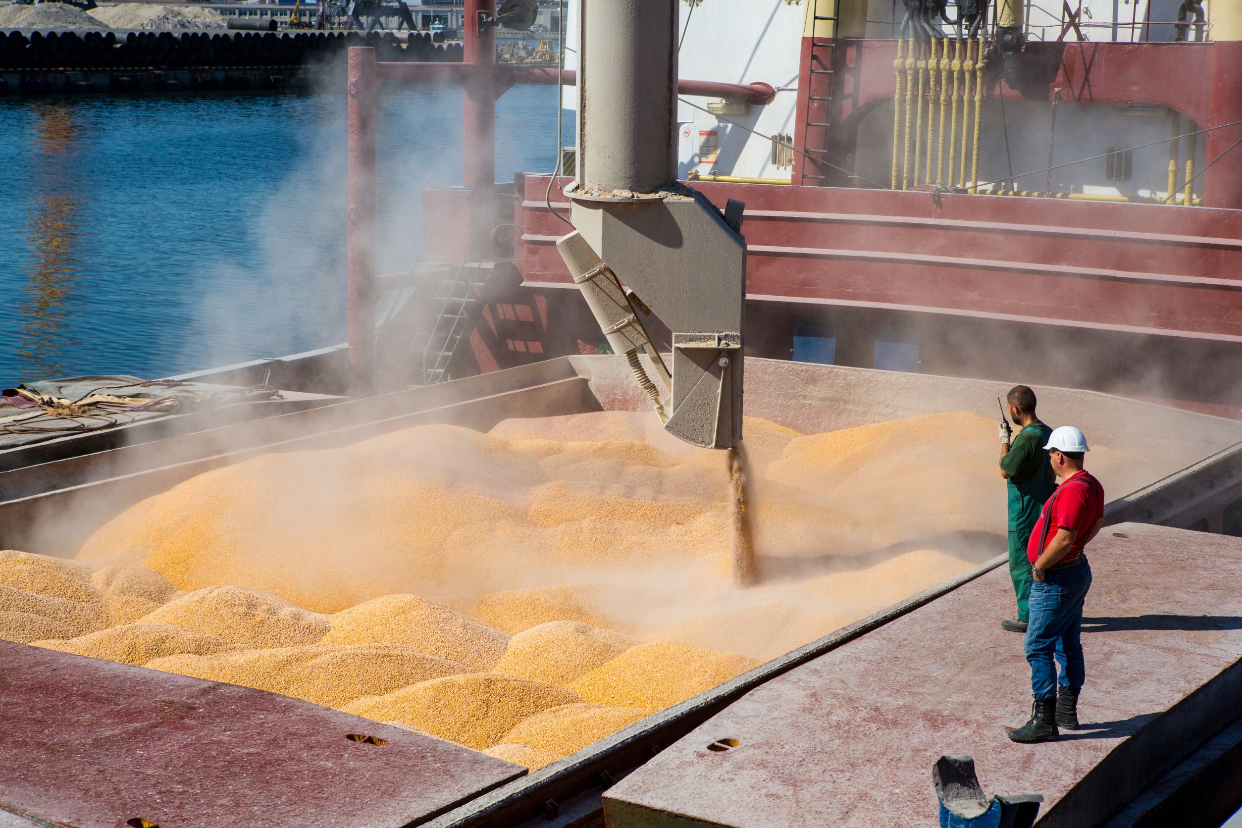 The war in Ukraine, food crises and global uncertainties