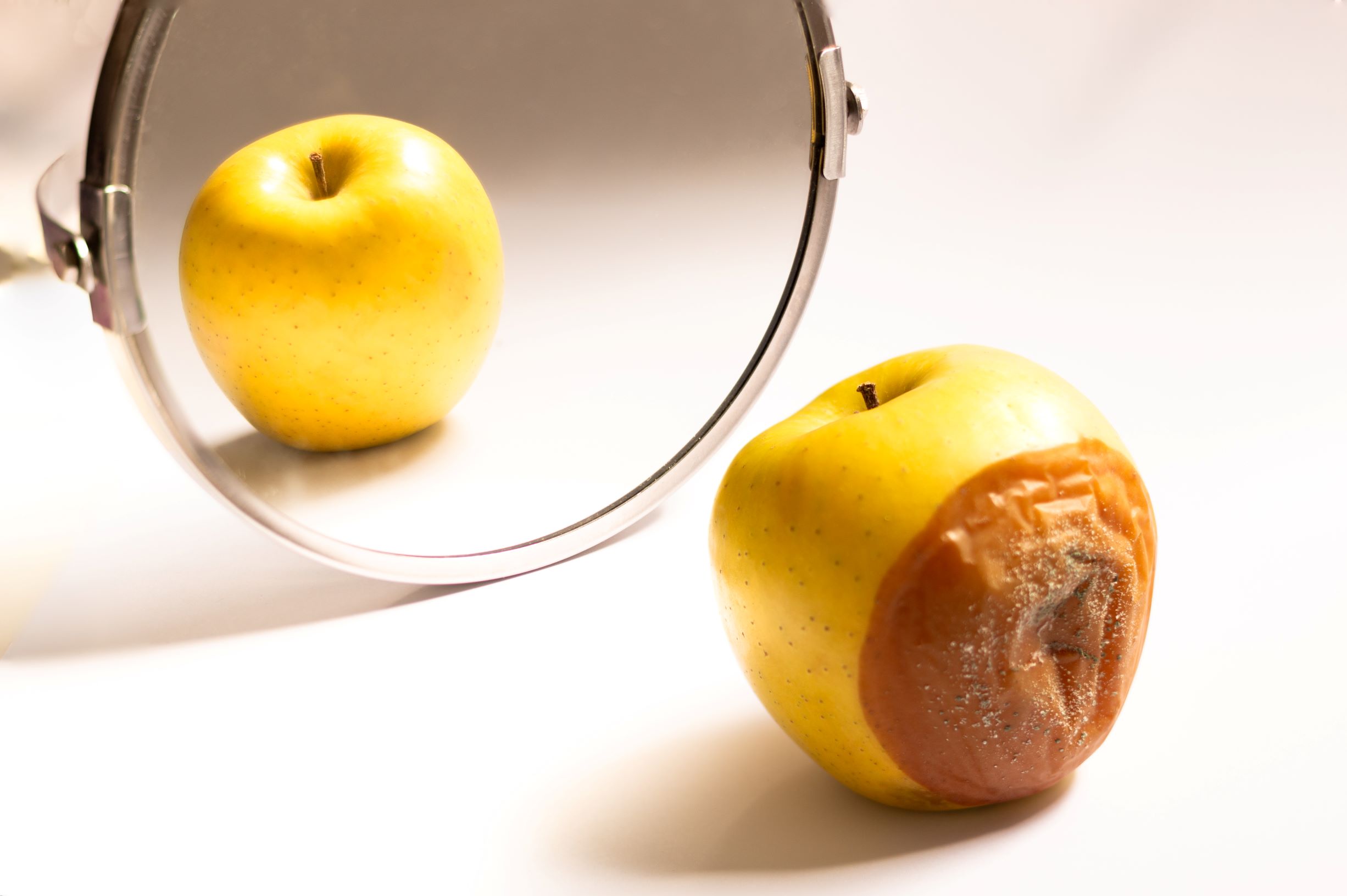 What does the Corruption Perceptions Index tell us—and what does it leave out?