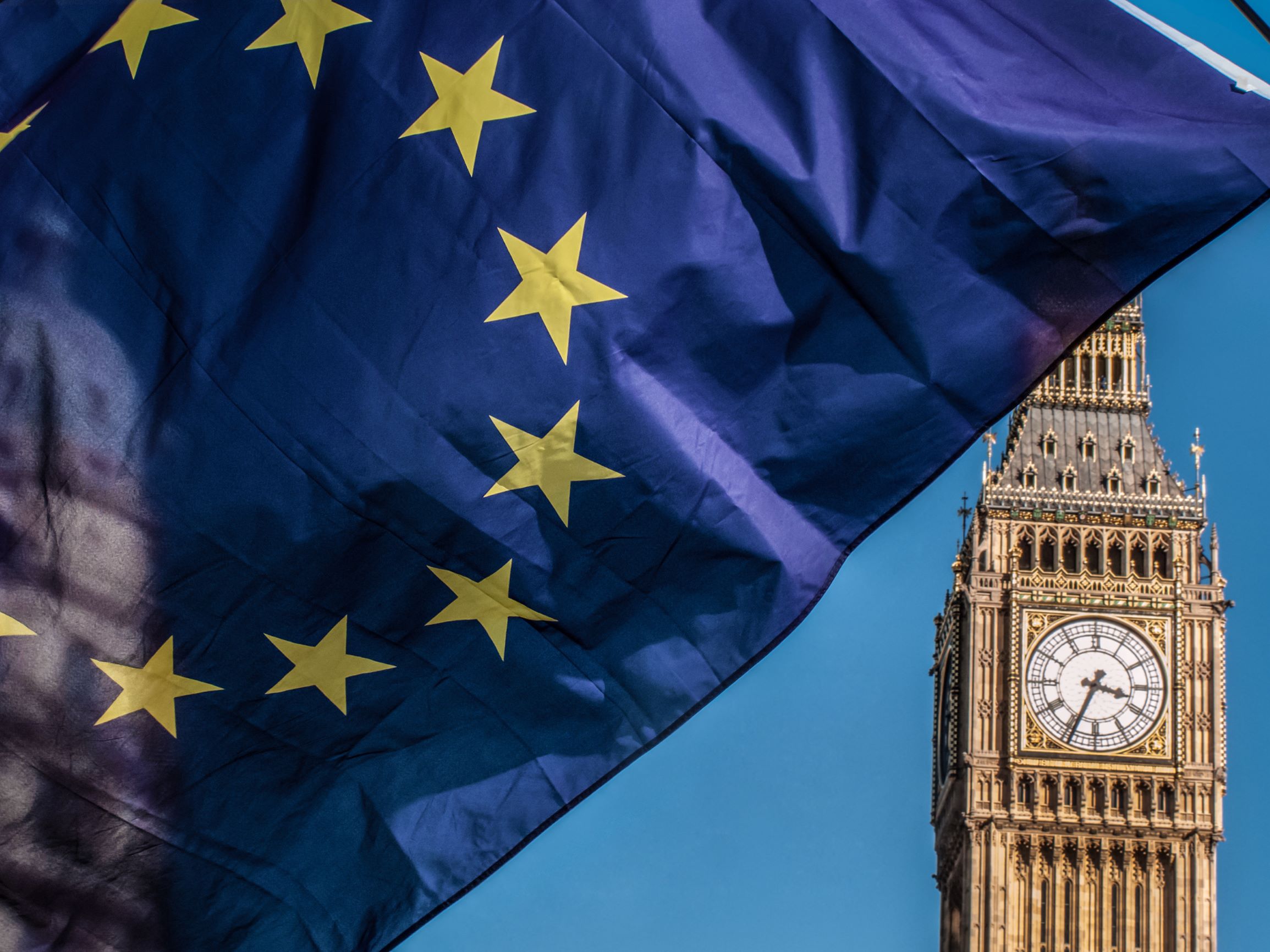 Will support for Brexit become extinct?