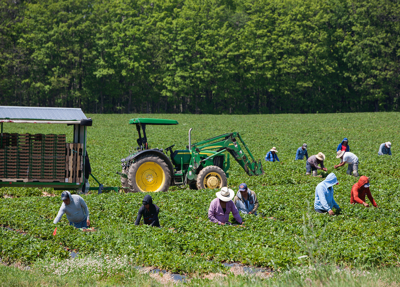 agriculture_workers