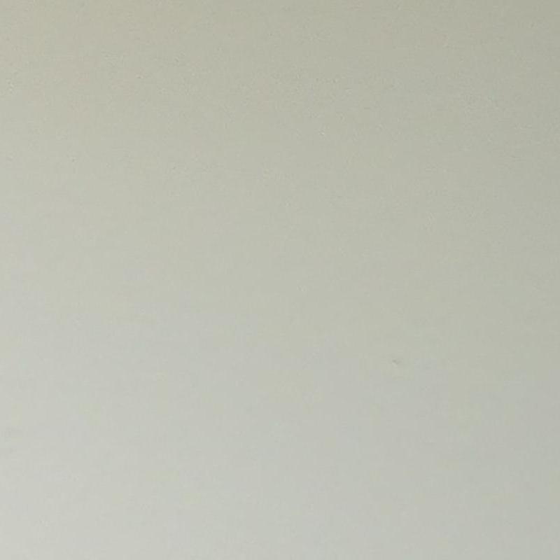 Profile picture of Carlotta Elena Osti