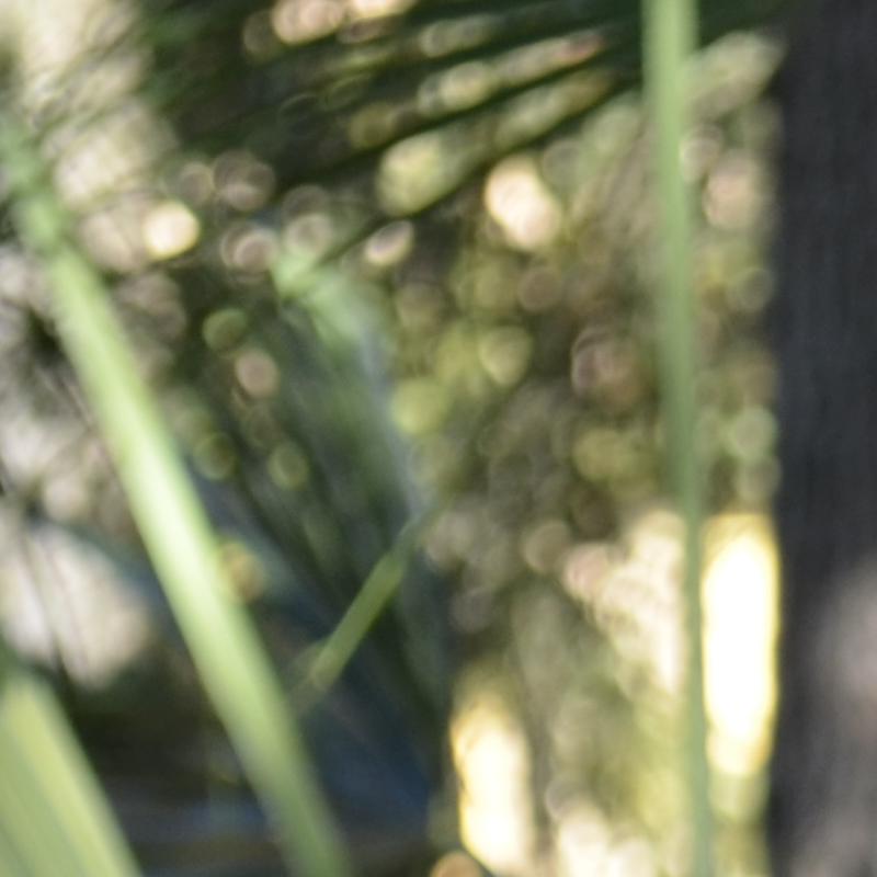 Profile picture of Rebecca Ravalli