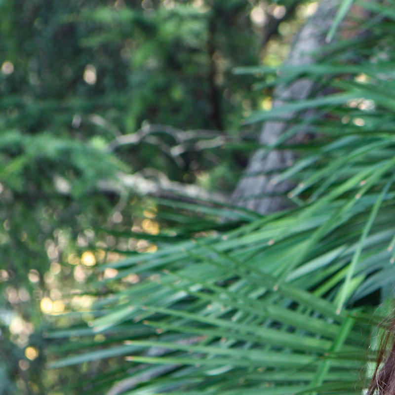 Profile picture of Sophie Alix Claudia Duroy De Suduiraut