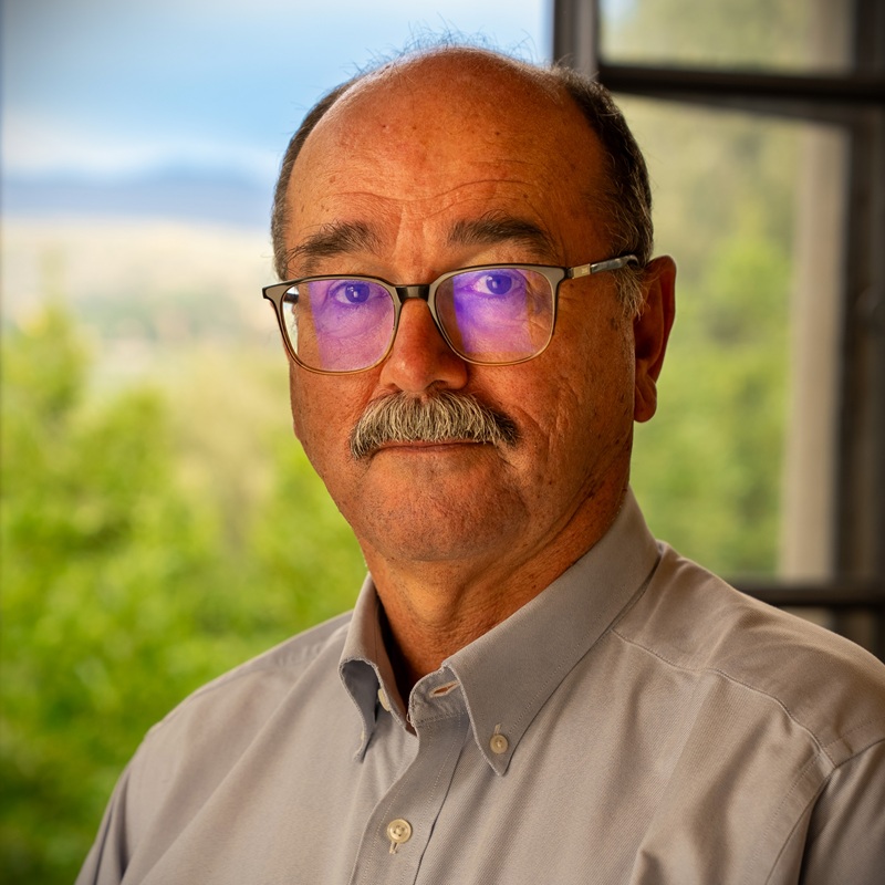 Profile picture of Bernard Hoekman