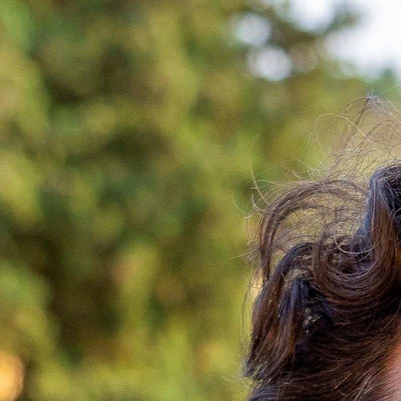 Profile picture of Sebastian Diessner