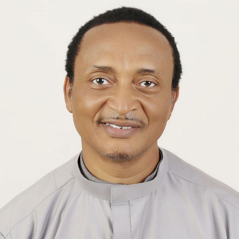 Profile picture of Francis Ohanyido