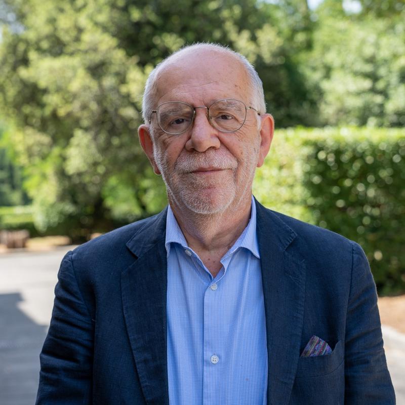 Profile picture of Pier Luigi Parcu