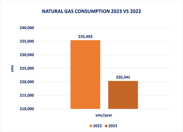 NATURAL GAS 2023